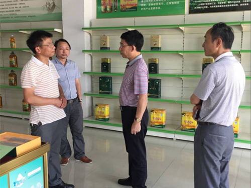 伟德国际,油茶莳植生产加工销售,植物油莳植生产加工销售