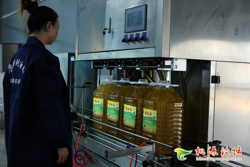 伟德国际,油茶莳植生产加工销售,植物油莳植生产加工销售