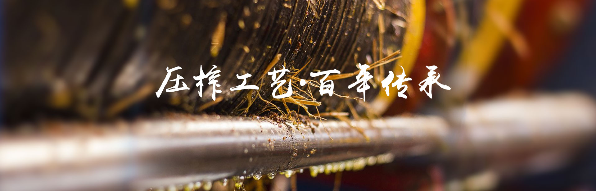 伟德国际_油茶莳植生产加工销售|植物油莳植生产加工销售